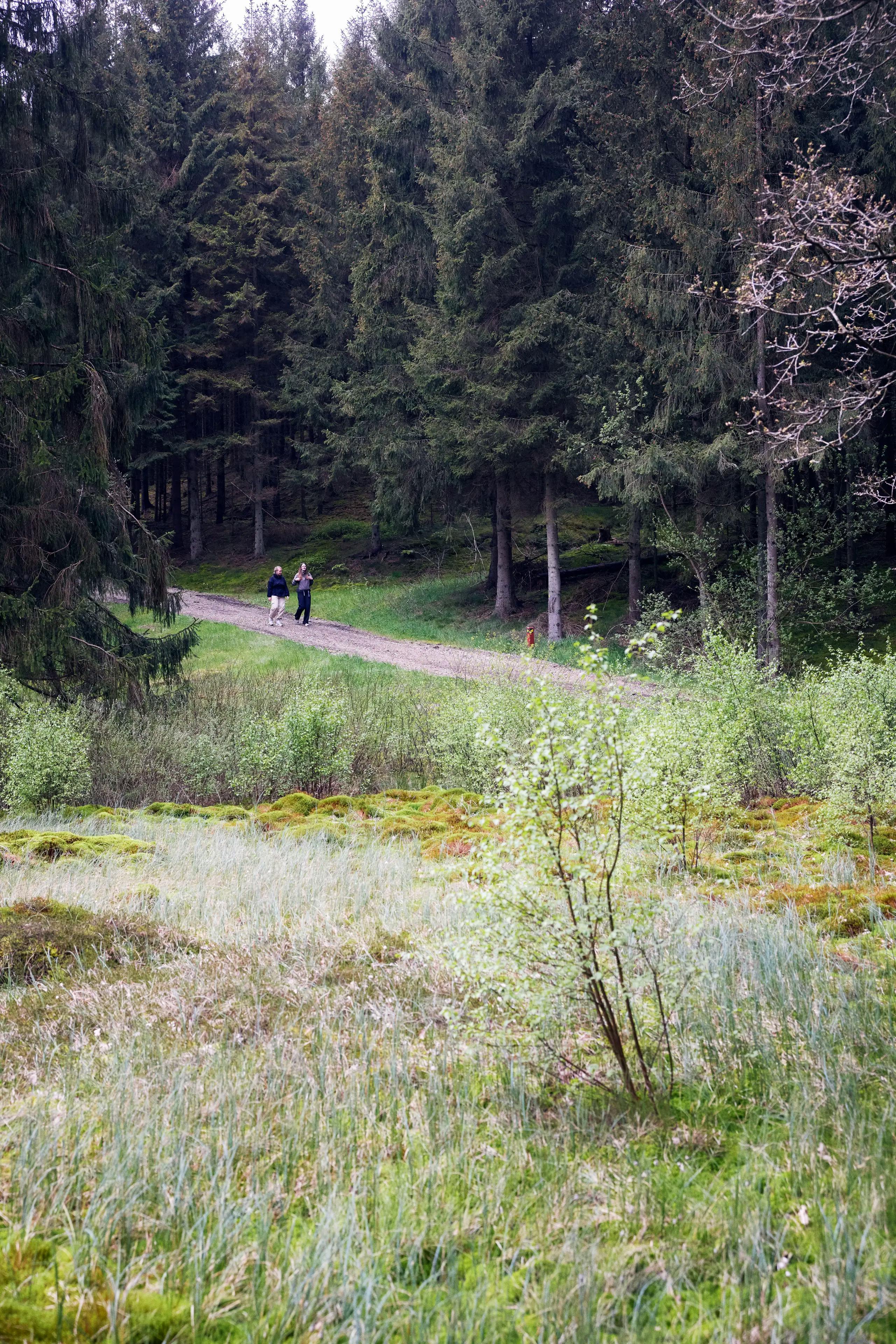 Zwei Mädchen im Wald