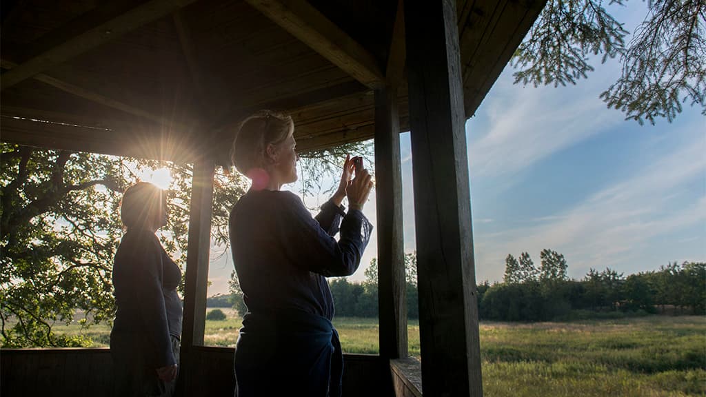 Herberg Kongeåen tårn