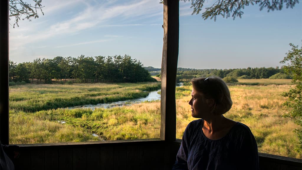 Herberg Kongeåen tårn